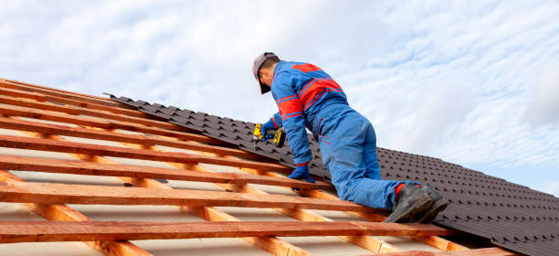 Best Asphalt Shingle Roofing  in Sawgrass, FL